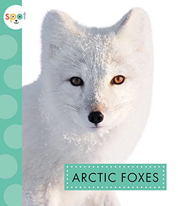 Cover Art for Arctic Foxes