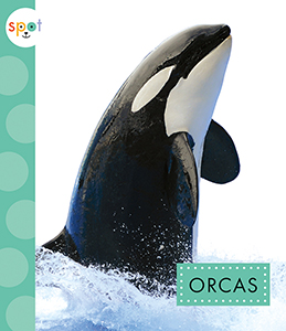 Cover Art for Orcas