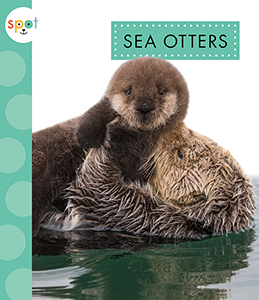 Cover Art for Sea Otters