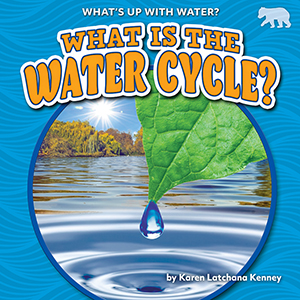 Cover Art for What Is the Water Cycle?