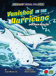 Cover Art for Vanished in the Hurricane: Dolphin Rescue!