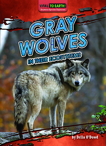Cover Art for Gray Wolves in Their Ecosystems