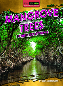 Cover Art for Mangrove Trees in Their Ecosystems