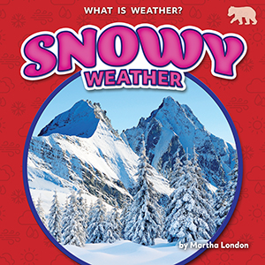 Cover Art for Snowy Weather