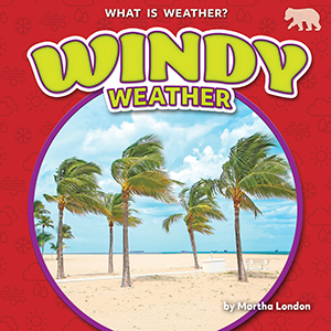 Cover Art for Windy Weather