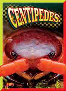 Cover Art for Centipedes