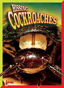 Cover Art for Hissing Cockroaches
