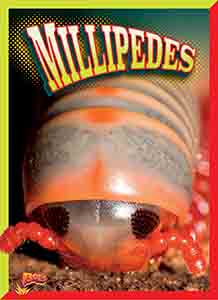 Cover Art for Millipedes