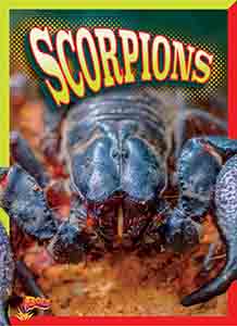 Cover Art for Scorpions