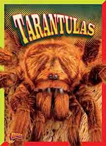 Cover Art for Tarantulas