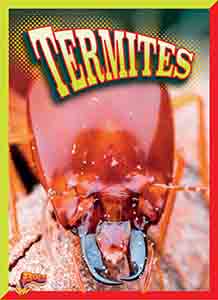Cover Art for Termites