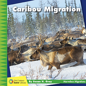 Cover Art for Caribou Migration