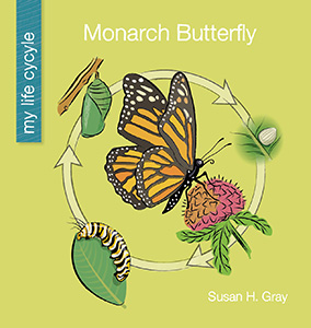 Cover Art for Monarch Butterfly