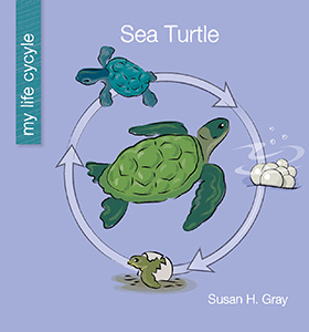 Cover Art for Sea Turtle