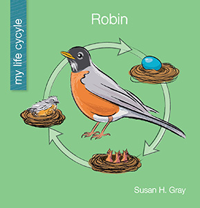 Cover Art for Robin