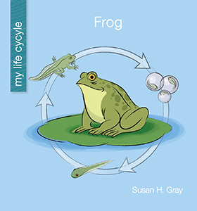 Cover Art for Frog