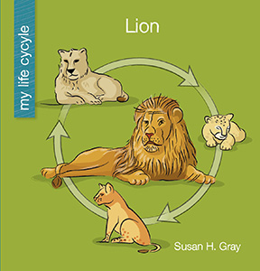 Cover Art for Lion