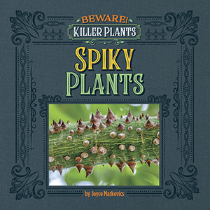 Cover Art for Spiky Plants