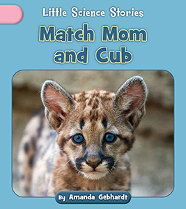 Cover Art for Match Mom and Cub