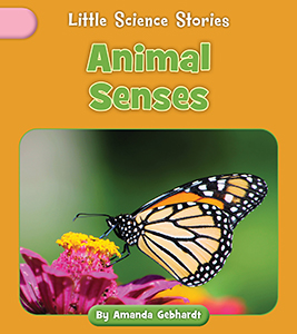 Cover Art for Animal Senses