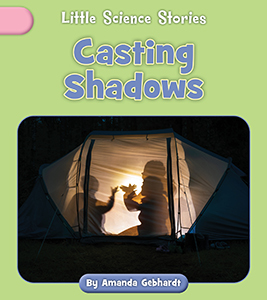 Cover Art for Casting Shadows