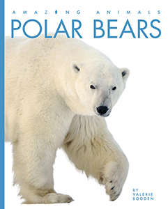 Cover Art for Polar Bears