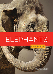 Cover Art for Elephants