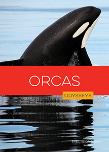 Cover Art for Orcas