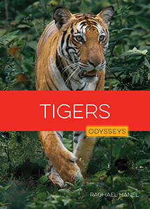 Cover Art for Tigers