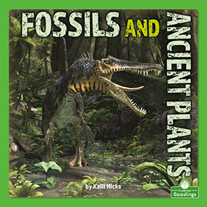 Cover Art for Fossils and Ancient Plants