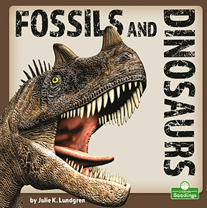 Cover Art for Fossils and Dinosaurs