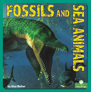 Cover Art for Fossils and Sea Animals