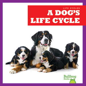 Cover Art for A Dog's Life Cycle