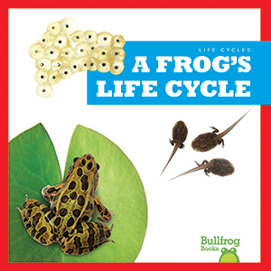 Cover Art for A Frog's Life Cycle