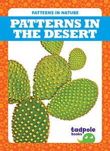 Cover Art for Patterns in the Desert