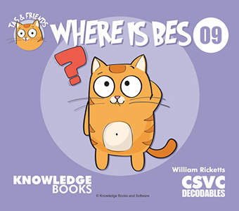 Cover Art for Where Is Bes?