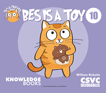 Cover Art for Bes Is a Toy