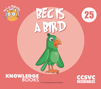Cover Art for Bec Is a Bird