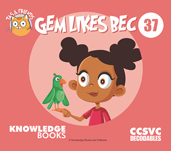 Cover Art for Gem Likes Bec