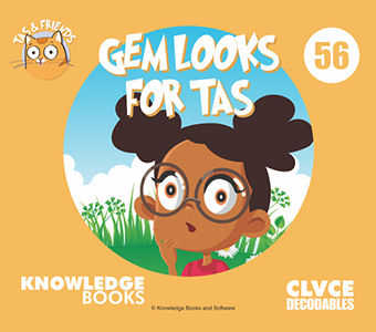 Cover Art for Gem Looks for Tas