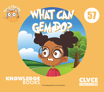 Cover Art for What Can Gem Do