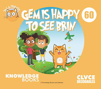 Cover Art for Gem Is Happy to See Brin