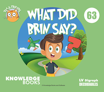 Cover Art for What Did Brin Say?