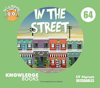 Cover Art for In the Street
