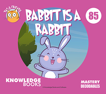 Cover Art for Babbit Is a Rabbit
