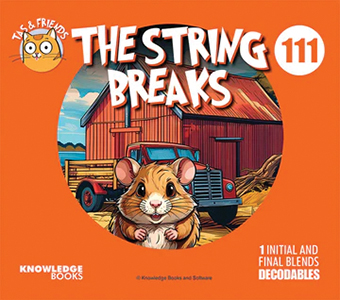 Cover Art for The String Breaks