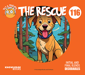 Cover Art for The Rescue