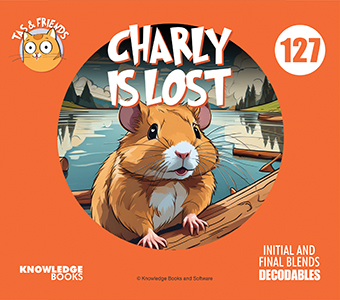 Cover Art for Charly Is Lost