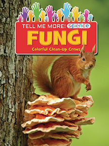 Cover Art for Fungi: Colorful Clean-Up Crews