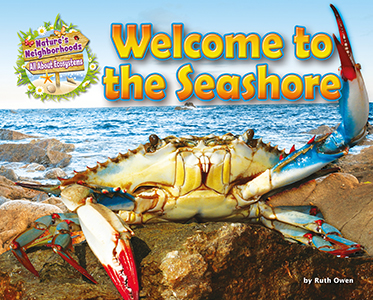 Cover Art for Welcome to the Seashore